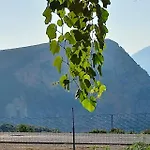 Vatra